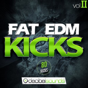 Fat EDM Kicks Vol.2 WAV