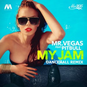 Mr. Vegas ft Pitbull – My Jam (Acapella)