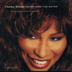 Chaka Khan – Never Miss The Water Ft Meshell Ndegeocello (Acapella)