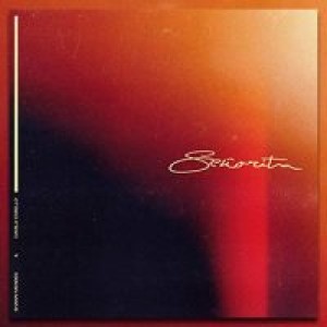 Shawn Mendes, Camila Cabello – Senorita (Acapella)