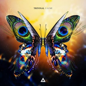 Tritonal – Medicine ft. LEVV (Studio Acapella)