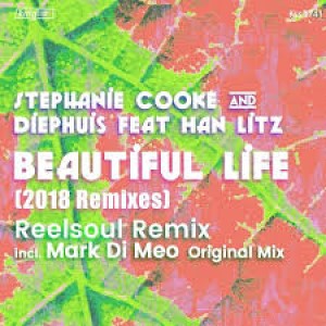 Stephanie Cooke & Diephuis ft Han Litz – Beautiful Life (Studio Acapella)