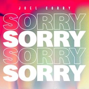 Joel Corry – Sorry (Studio Acapella and Instrumental)