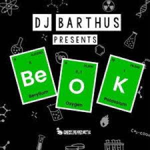 DJ Barthus – Be OK (Studio Acapella)