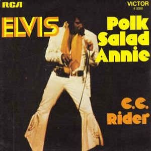 Elvis Presley – CC Rider (Live Multitrack) (15 Mono Tracks)