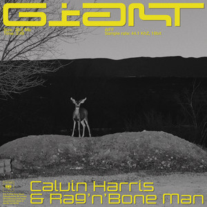 Calvin Harris & Rag’n’Bone Man – Giant (Purple Disco Machine Acapella)