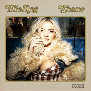 Elle King – Shame (Studio Acapella)