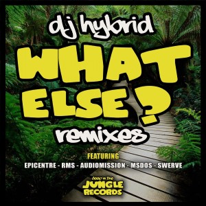 DJ Hybrid – What Else (10 Stems)